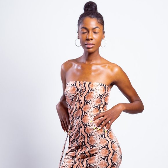 Snake - Picture 1 of 3